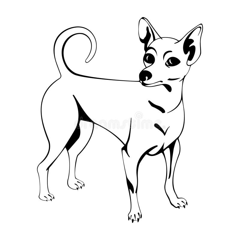 Figure Chihuahua line drawing.