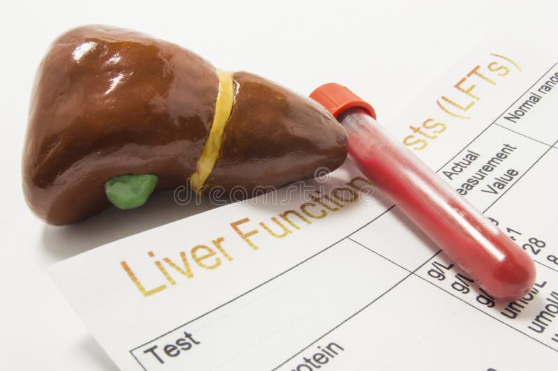 Figure of Human Liver, Laboratory Test Tube or Bottle with Blood and