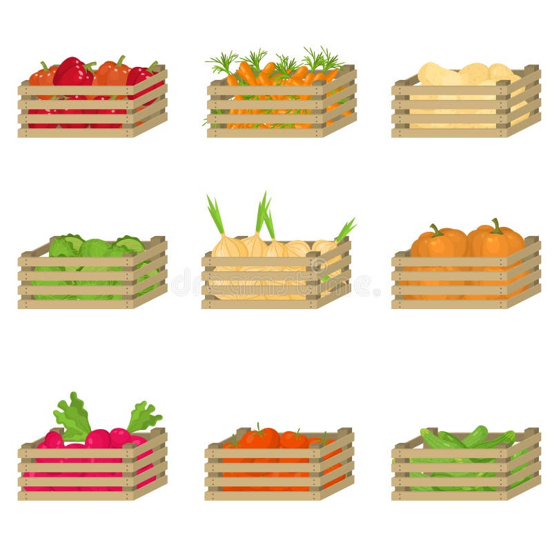 Fije de la caja de madera con las verduras frescas, naturales de la granja ilustración del vector Fije de la caja de madera con las verduras frescas, naturales de la granja ilustración del vector