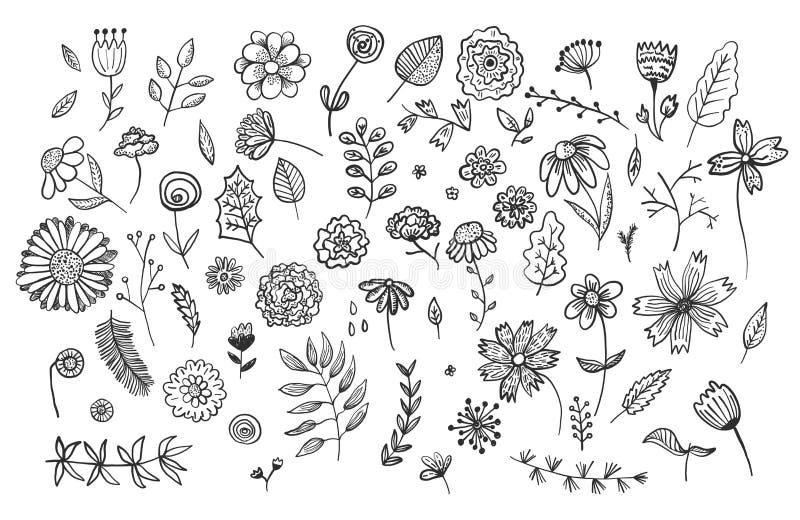 Fije de las flores y de las hierbas exhaustas de la tinta de la mano linda stock de ilustración Fije de las flores y de las hierbas exhaustas de la tinta de la mano linda stock de ilustración