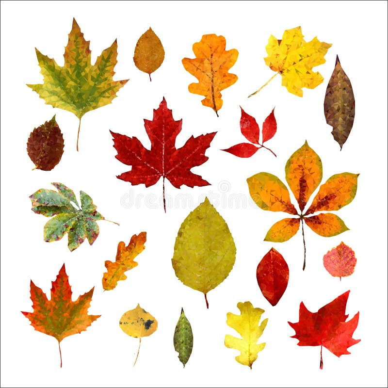 Fije de las hojas de otoño realistas Estilo polivin?lico bajo Aislado en un fondo blanco Ilustraci?n del vector ilustración del vector Fije de las hojas de otoño realistas Estilo polivin?lico bajo Aislado en un fondo blanco Ilustraci?n del vector ilustración del vector