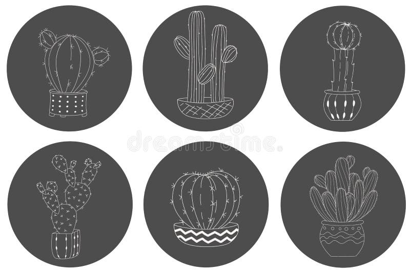 Fije del cactus exhausto de la mano linda en un pote en fondo de la pizarra libre illustration Fije del cactus exhausto de la mano linda en un pote en fondo de la pizarra libre illustration