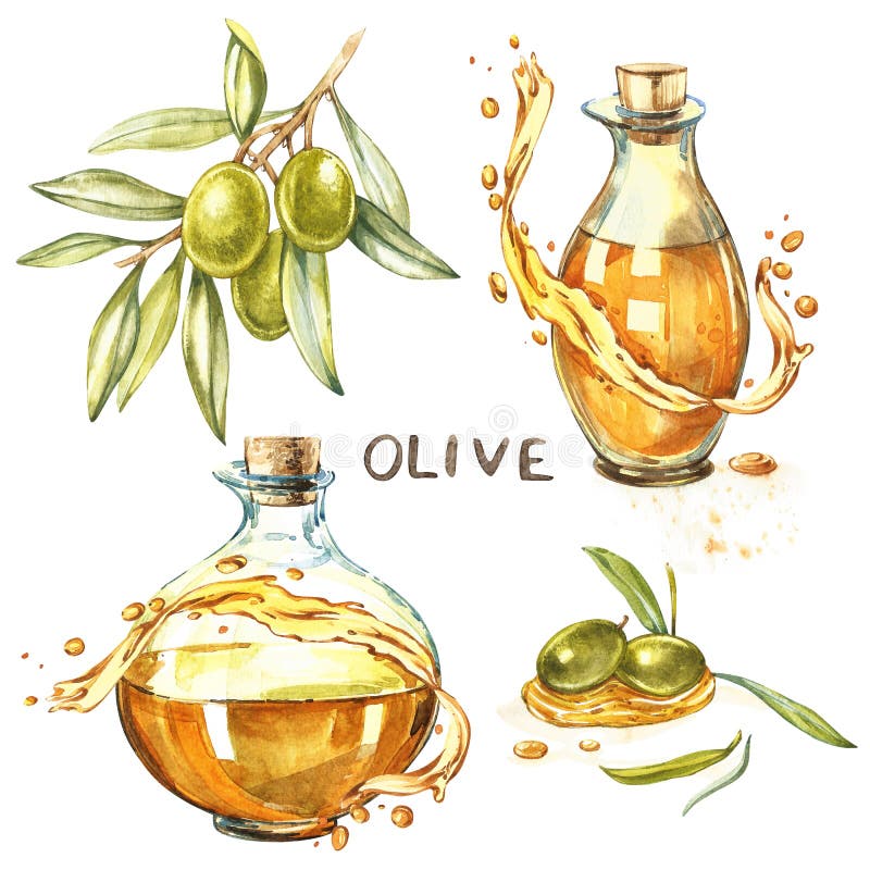 Fije la rama de A de las aceitunas verdes maduras es jugoso vertidas con aceite Los descensos y salpican del aceite de oliva Acua libre illustration Fije la rama de A de las aceitunas verdes maduras es jugoso vertidas con aceite Los descensos y salpican del aceite de oliva Acua libre illustration