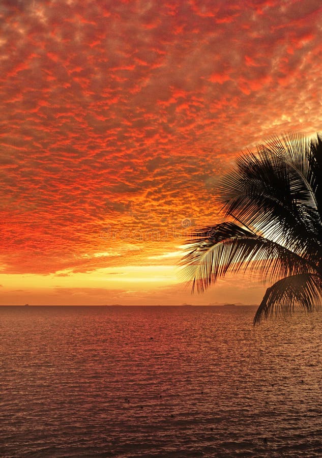 Fiji Sunset stock image. Image of islands, lights, mottled - 89289673