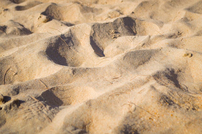 Fijn strandzand in de de zomerzon stock afbeeldingen Fijn strandzand in de de zomerzon stock afbeeldingen