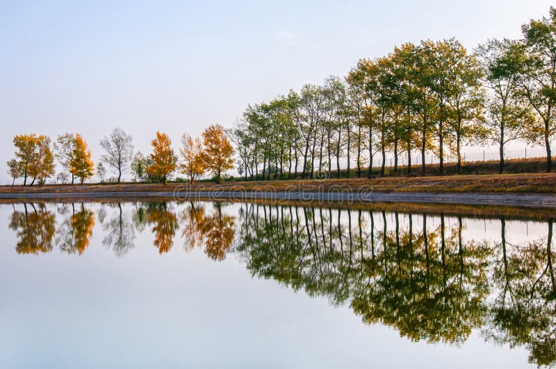 Fila autunnale dell'albero sulla riva che si rispecchia nel lago pubblico di nuoto fotografia stock Fila autunnale dell'albero sulla riva che si rispecchia nel lago pubblico di nuoto fotografia stock
