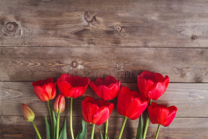 Fila De Tulipanes Rojos En La Tabla De Madera Con El Espacio Para El  Mensaje Fondo Del Día Del ` S De La Madre Visión Superior En Foto de  archivo - Imagen