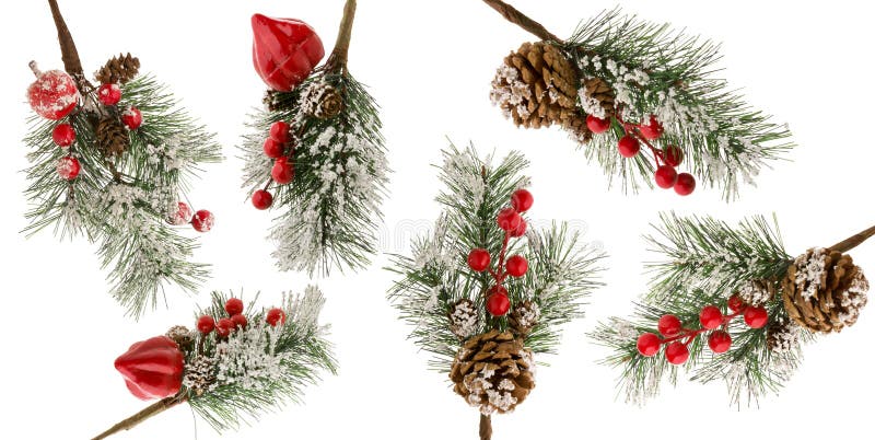 Filamento di un albero di Natale con neve, bacche di rosso e coni isolati su fondo bianco come serie di dettagli per la progettaz fotografia stock Filamento di un albero di Natale con neve, bacche di rosso e coni isolati su fondo bianco come serie di dettagli per la progettaz fotografia stock