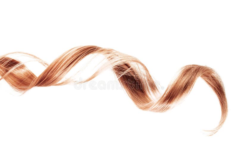 Filamento rubio de la fresa del pelo en el fondo blanco fotos de archivo libres de regalías Filamento rubio de la fresa del pelo en el fondo blanco fotos de archivo libres de regalías