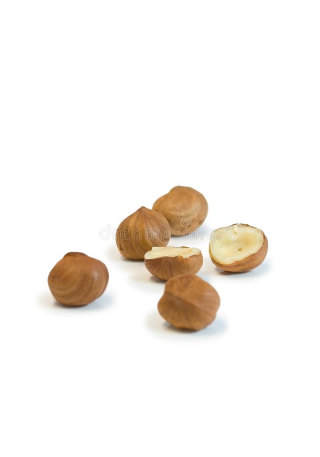 Filbert stock photo. Image of life, tasty, cracked, culinary 12438638