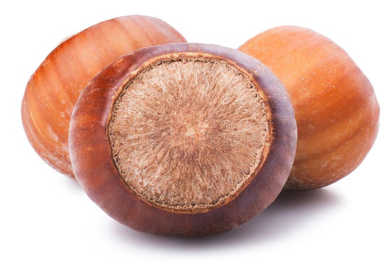 Filberts stock image. Image of snack, edible, unbroken 27876873