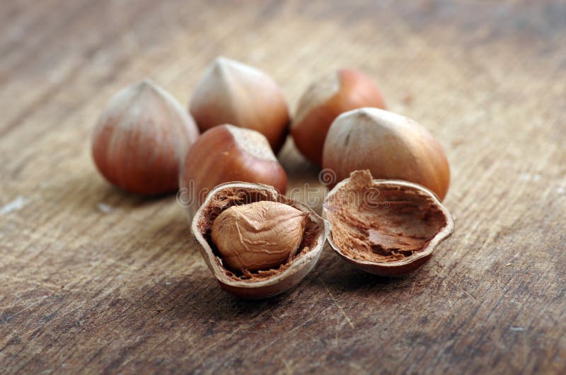 Filberts stock image. Image of closeup, tough, nutshell 38219579