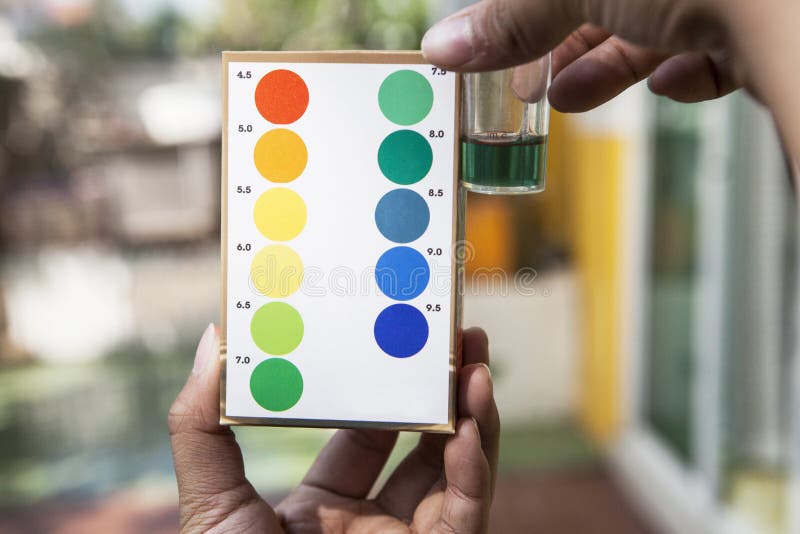 File Of Hand Holding Water Ph Testing Test Comparing Color To In Stock Photo Image of health