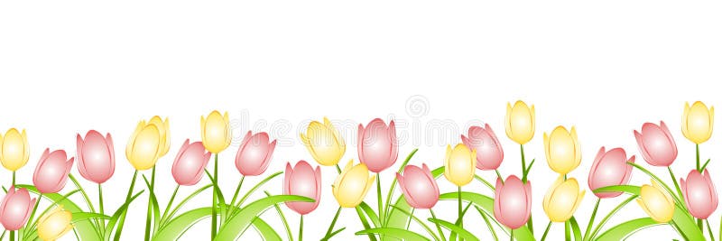 Uma fileira de tulipas da primavera ilustração royalty free