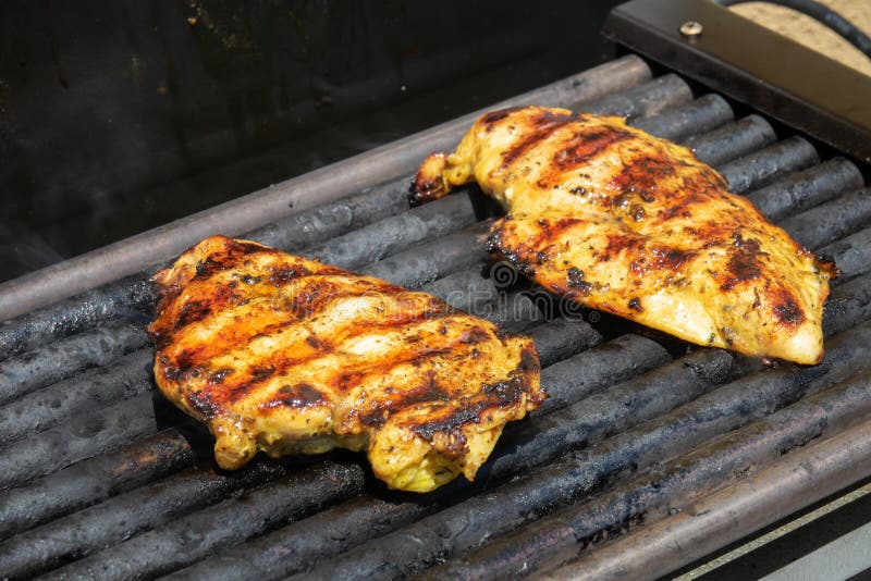 Filetes De Carne De Pollo O De Turquía Asados Con Especias En Plancha De Asador  Eléctrico Imagen de archivo - Imagen de pimienta, poultry: 161666533