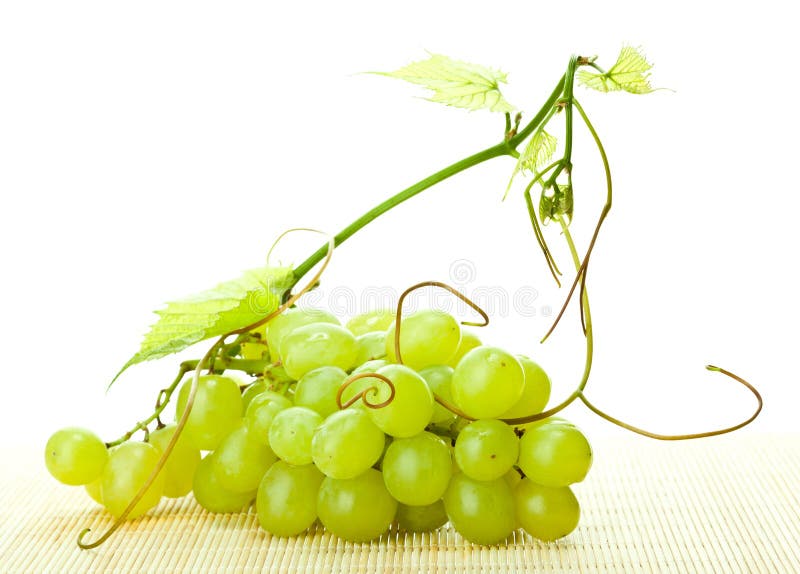 Filiale dell'uva e della vigna verdi immagini stock Filiale dell'uva e della vigna verdi immagini stock