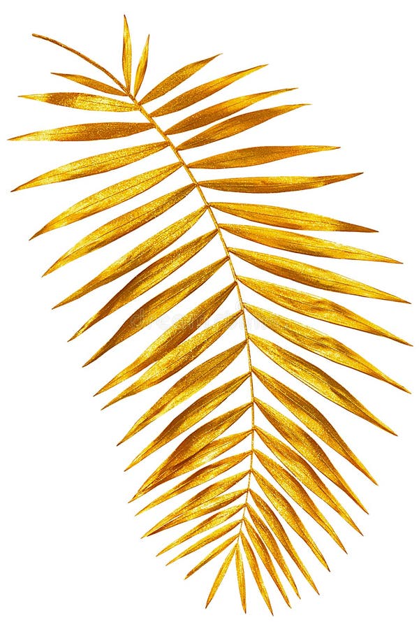 Filialen av gömma i handflatan skinande guld arkivbilder Filialen av gömma i handflatan skinande guld arkivbilder