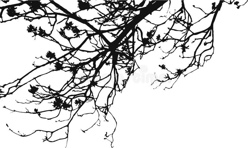 Filiali di albero del fiore illustrazione vettoriale