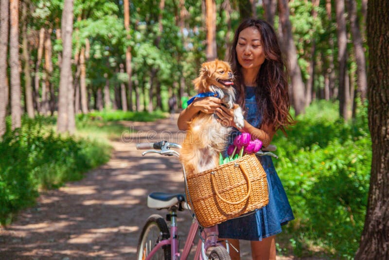 Fille asiatique mignonne avec peu de chien marchant en parc Femme s'asseyant sur l'herbe verte avec le chien - extérieur en portr image stock Fille asiatique mignonne avec peu de chien marchant en parc Femme s'asseyant sur l'herbe verte avec le chien - extérieur en portr image stock