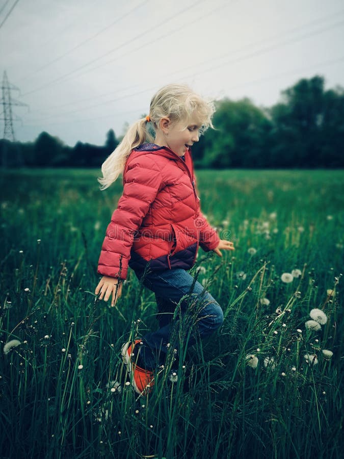 Fille caucasienne marchant parmi les pissenlits et l'herbe sur le pré à la soirée photographie stock Fille caucasienne marchant parmi les pissenlits et l'herbe sur le pré à la soirée photographie stock