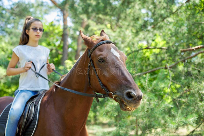 Belle Fille Hippie à Cheval Sur Un Fond De Ranch, Vue De Face. La