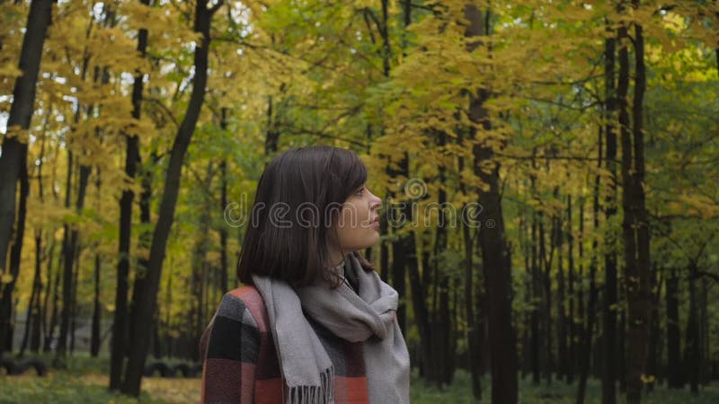 Fille d'automne marchant en parc de ville Portrait de belle et belle jeune femme heureuse dans la forêt dans des couleurs de chut banque de vidéos
