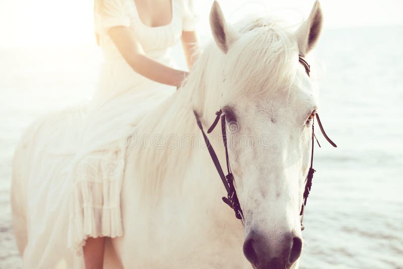 Fille Dans La Robe Blanche Avec Le Cheval Sur La Plage Image stock
