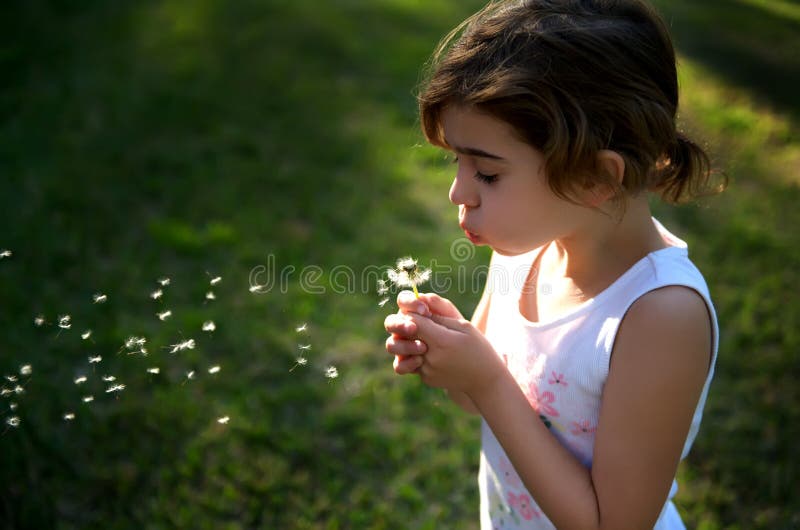 fille de soufflement de pissenlit effectuant peu le souhait photo stock fille de soufflement de pissenlit effectuant peu le souhait photo stock