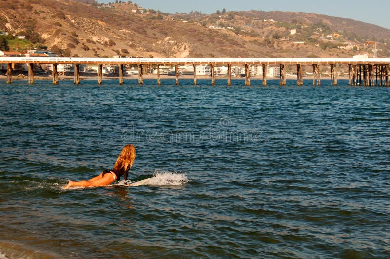 A young female surfer heads to the waves in Malibu, California. A young female surfer heads to the waves in Malibu, California