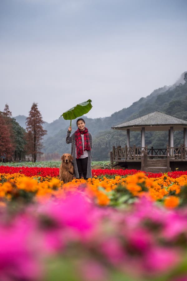Fille et golden retriever en fleurs photo stock Fille et golden retriever en fleurs photo stock