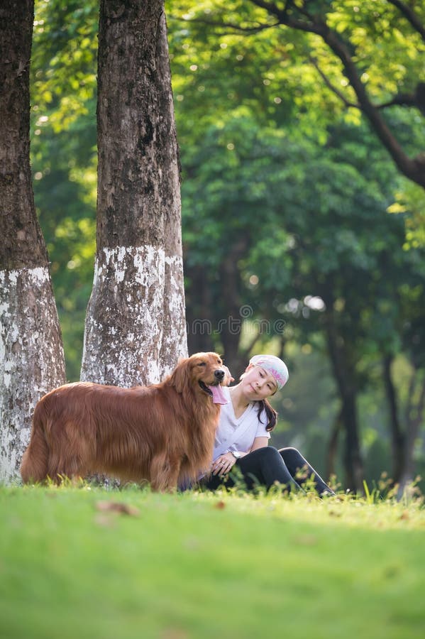 Fille et golden retriever jouant dans l'herbe image stock Fille et golden retriever jouant dans l'herbe image stock