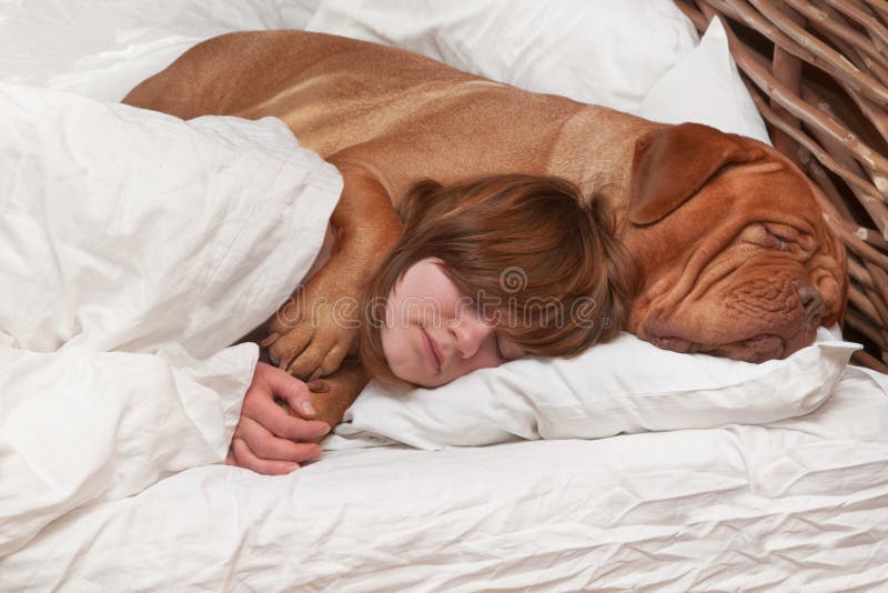 Girl and her dog comfortably sleeping in the bed. Girl and her dog comfortably sleeping in the bed