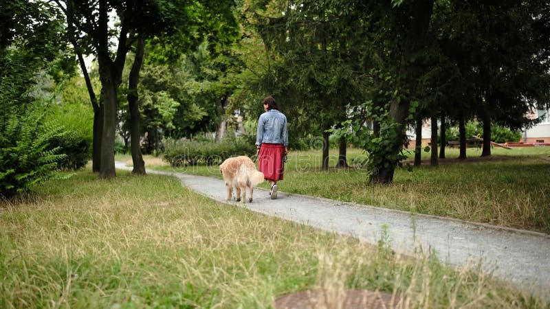 Fille Marcher Avec Golden Retriever Chien Dans Le Parc clips vidéos