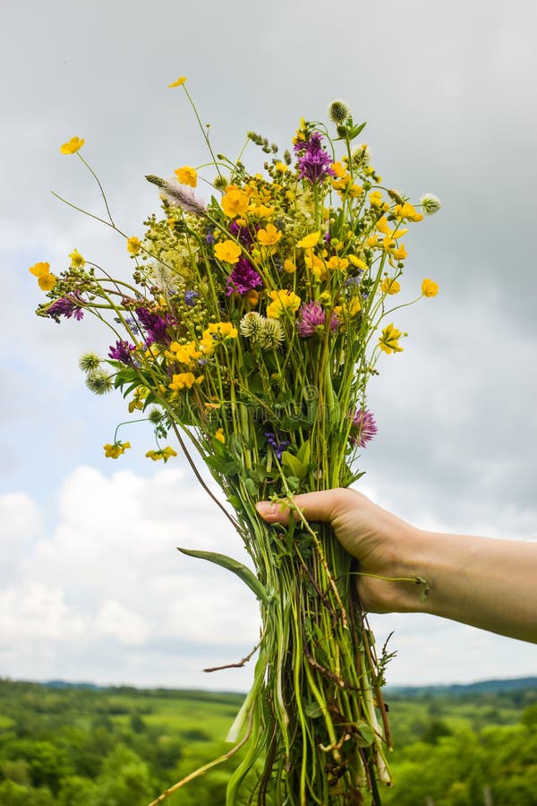 Fille tenant dans sa main un beau bouquet avec les fleurs sauvages multicolores Groupe stupéfiant de fleurs de wilf dans la natur images libres de droits Fille tenant dans sa main un beau bouquet avec les fleurs sauvages multicolores Groupe stupéfiant de fleurs de wilf dans la natur images libres de droits