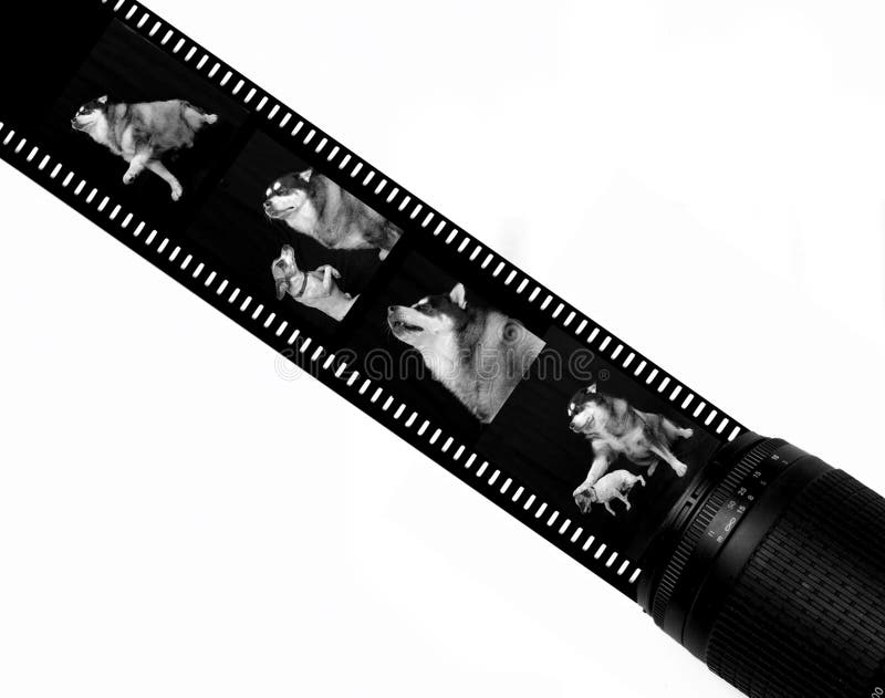 Film Strip