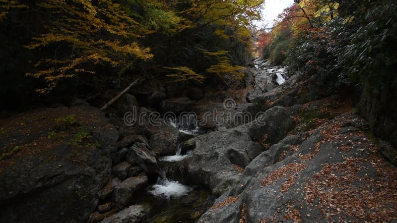 Filtrage en bas de la branche de Sams le long de Ridge Parkway bleu