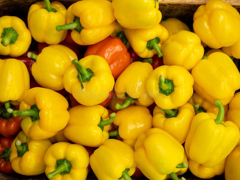 Fim amarelo da pimenta acima em um mercado Paisagem Um contexto de pimentas amarelas empilhadas Mercado do vegetal da rua fotografia de stock royalty free