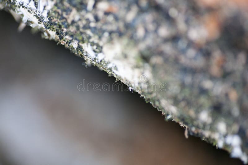 Fim bonito de madeira acima das belas artes macro abstratas coloridas de superfície do fundo nos produtos de alta qualidade das c imagens de stock royalty free Fim bonito de madeira acima das belas artes macro abstratas coloridas de superfície do fundo nos produtos de alta qualidade das c imagens de stock royalty free