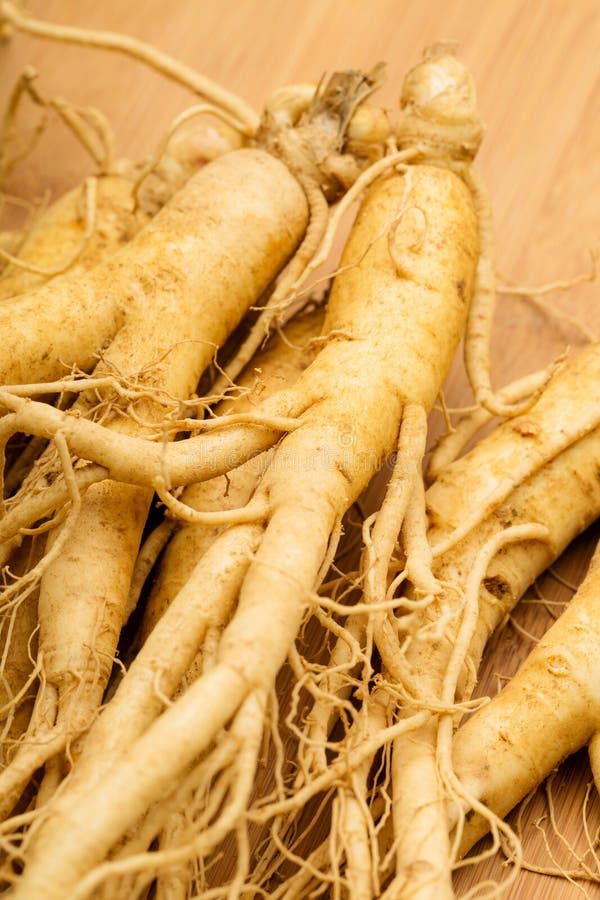 Ginseng fresco em close-up imagens de stock