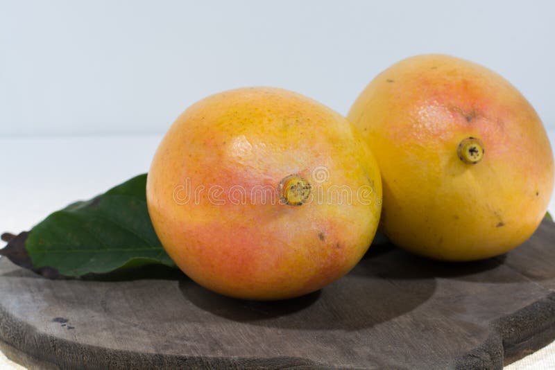 Fim pronto para comer de duas manga amarelas orgânicas maduras acima fotos de stock Fim pronto para comer de duas manga amarelas orgânicas maduras acima fotos de stock