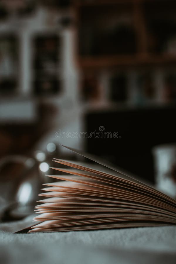 Fim vertical acima do tiro de páginas abertas do livro com fundo borrado foto de stock Fim vertical acima do tiro de páginas abertas do livro com fundo borrado foto de stock