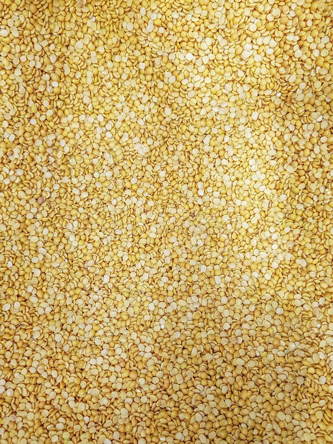 Fin crue crue du moong dal de haricots de petite lentille jaune de mung Texture de fond images stock Fin crue crue du moong dal de haricots de petite lentille jaune de mung Texture de fond images stock
