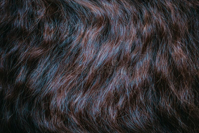 Fin de cheveu de Brown vers le haut textures et fond image libre de droits Fin de cheveu de Brown vers le haut textures et fond image libre de droits