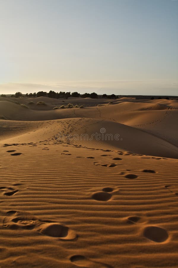 Fin de l'après-midi sur le désert de Sahara