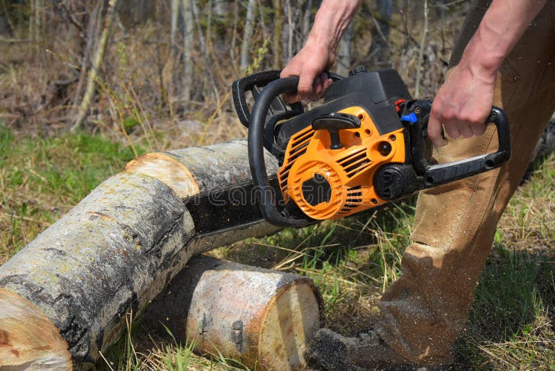 Utilisation D'une Tronçonneuse Pour Bois De Chauffage Photo stock - Image  du arbre, matériel: 216461194