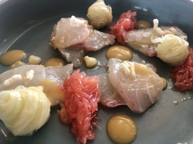 Fine dining, creative dish with raw white fish served in michelin star restaurant. High quality photo. Fine dining, creative dish with raw white fish served in michelin star restaurant. High quality photo