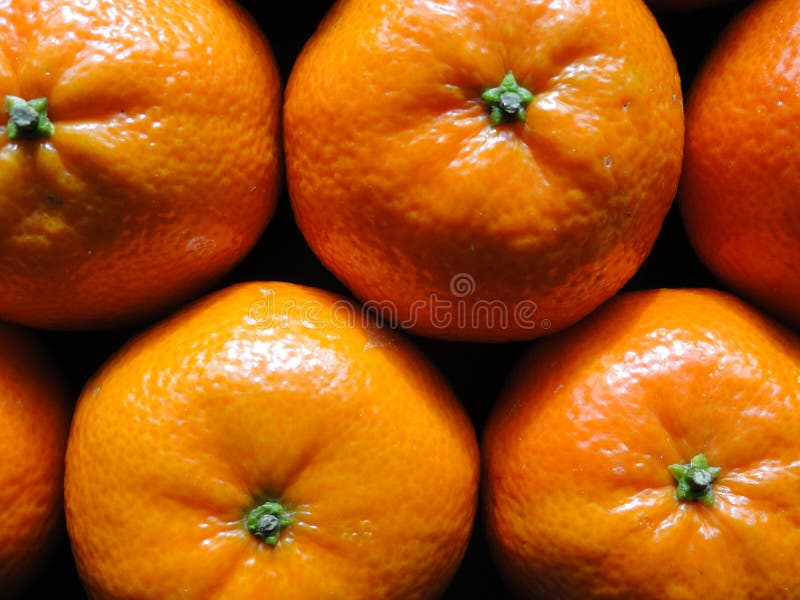 Fin/macro vue des oranges images libres de droits Fin/macro vue des oranges images libres de droits