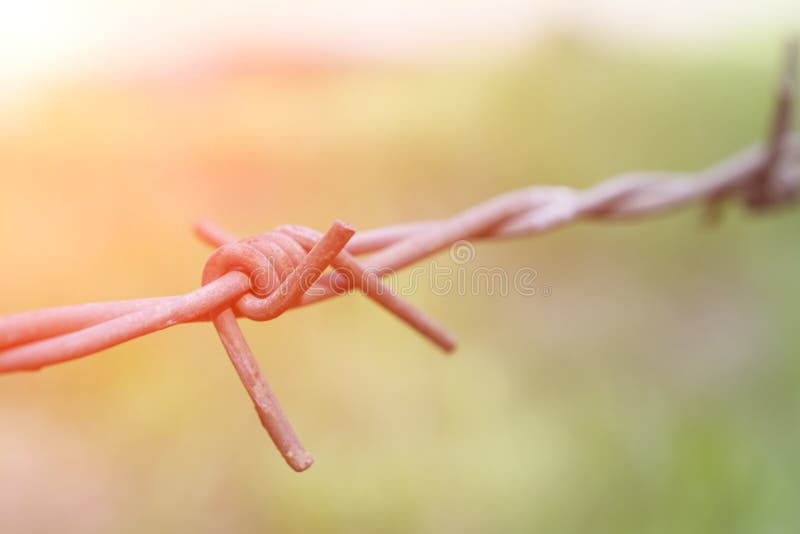 Fin rouillée de barbwire photographie stock libre de droits Fin rouillée de barbwire photographie stock libre de droits