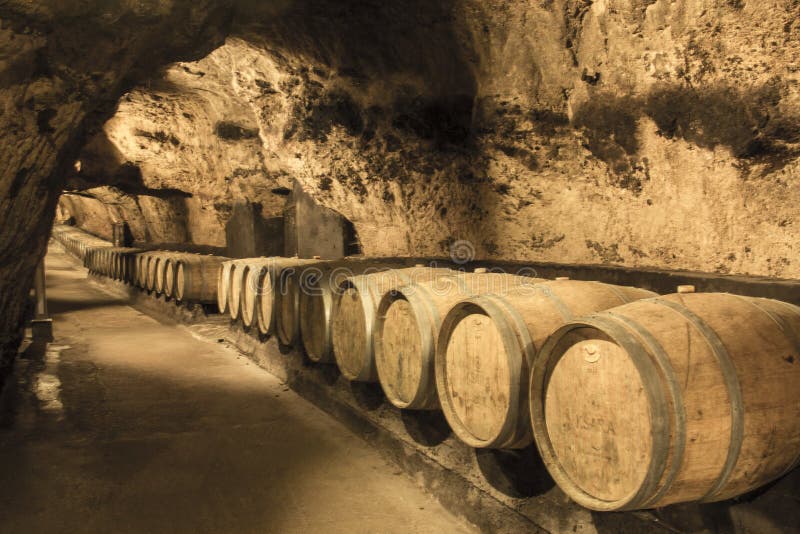 Fin vy inuti vineriet royaltyfria foton