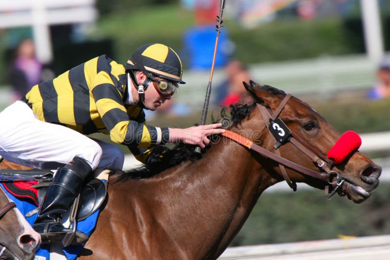 Close-up of a jockey guiding his horse to the finish in a thoroughbred horse race. Close-up of a jockey guiding his horse to the finish in a thoroughbred horse race.